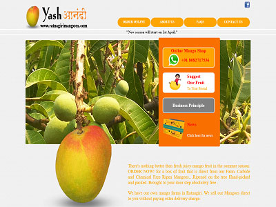 Ratnagiri Mangoes